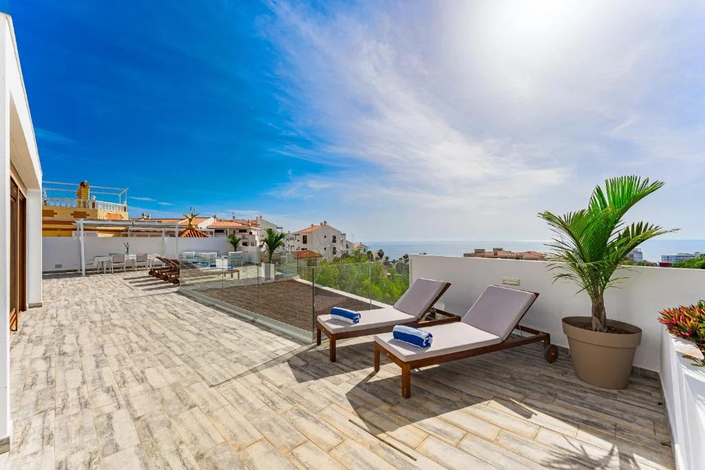 Sun loungers and palm tree on the terrace
